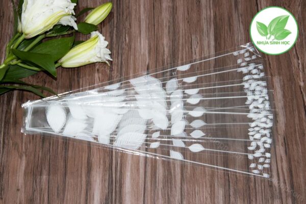 Túi bóng kính gói hoa