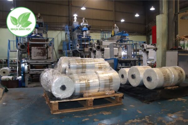 Giấy bóng kính gói quà