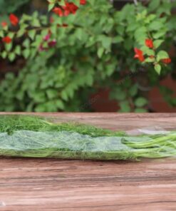 Túi đựng rau sạch