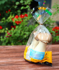 Túi đựng thực phẩm an toàn