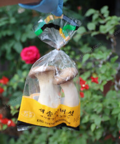 Túi đựng thực phẩm an toàn