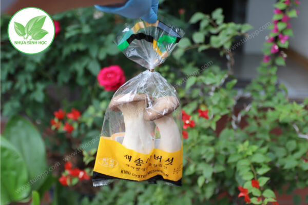 Túi đựng thực phẩm an toàn