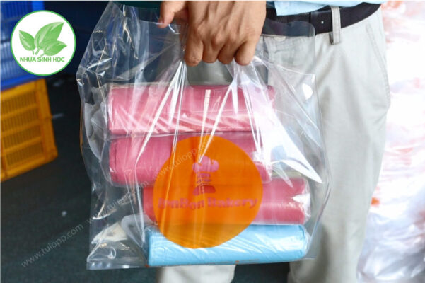 Túi hột xoài PP trong in logo