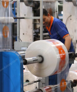 Túi hột xoài PP trong in logo