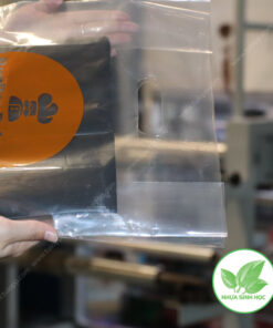 Túi hột xoài PP trong in logo