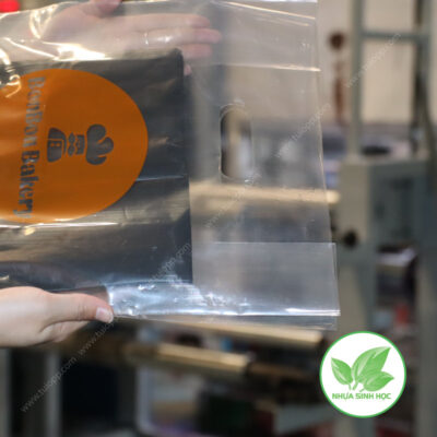 Túi hột xoài PP trong in logo