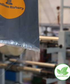 Túi hột xoài PP trong in logo