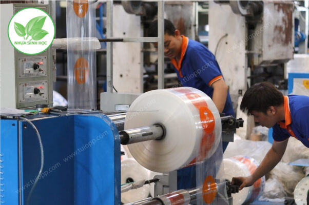 Túi hột xoài PP trong in logo