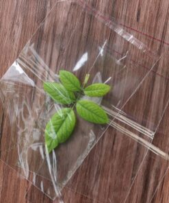 Túi OPP dán miệng