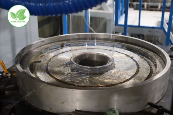 Túi OPP dán miệng