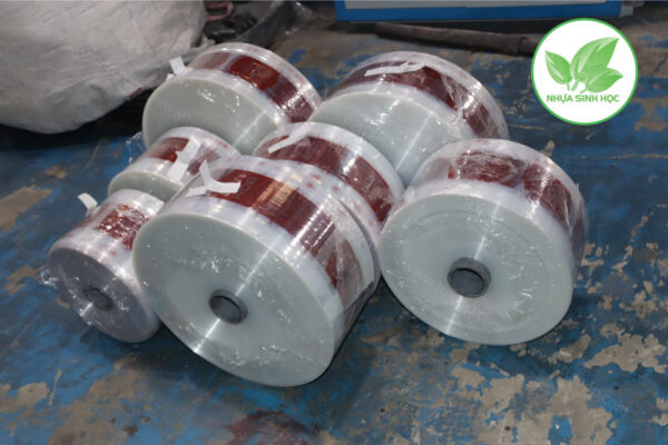 Túi OPP hột xoài