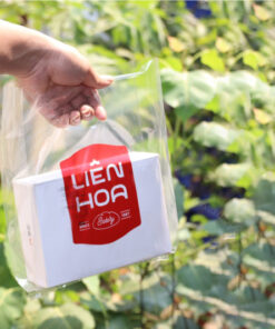 Túi OPP hột xoài