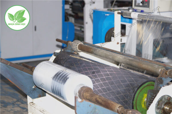 Túi bóng kiếng đựng giày dép