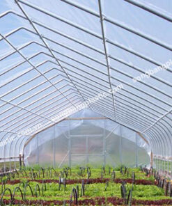 Alternative view of Cuộn LDPE Khổ Lớn