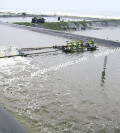 Alternative view of Màng phủ nông nghiệp