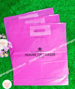 Túi hột xoài dập quai