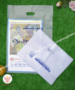 Túi hột xoài đựng lịch Tết