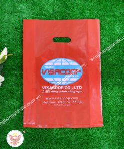 Túi hột xoài đựng quà tặng