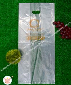 Túi hột xoài fastfood