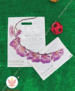 Túi hột xoài in logo nhiều màu