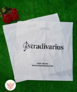 Túi hột xoài size lớn