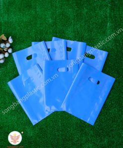 Túi hột xoài size nhỏ